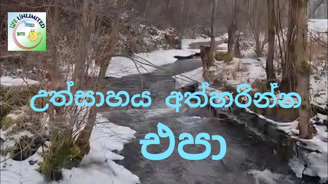 🔴  කොහොම හරි ඉදිරියට යමු❗💚