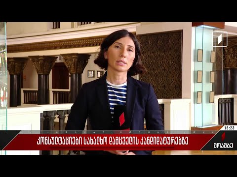 კონსულტაციები სახალხო დამცველის კანდიდატურებზე