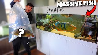 WE BOUGHT THE LARGEST *EXOTIC* FISH!!! (EXPENSIVE)