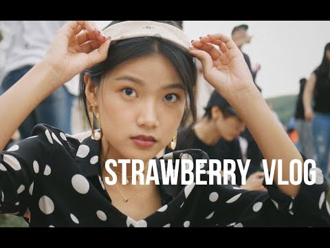 草莓音乐节Vlog | 音乐节穿搭 | 4点才到的我干了什么 | vivamelody
