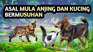 SEJARAH SINGKAT ASAL MULA ANJING DAN KUCING BERMUSUHAN