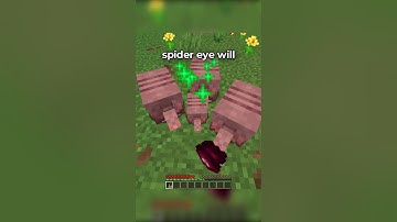 BEST MINECRAFT TIPS OF ALL TIME