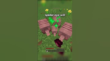 BEST MINECRAFT TIPS OF ALL TIME
