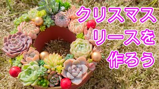 多肉植物】【ガーデニング】クリスマスに可愛く色ずくリース作り - YouTube