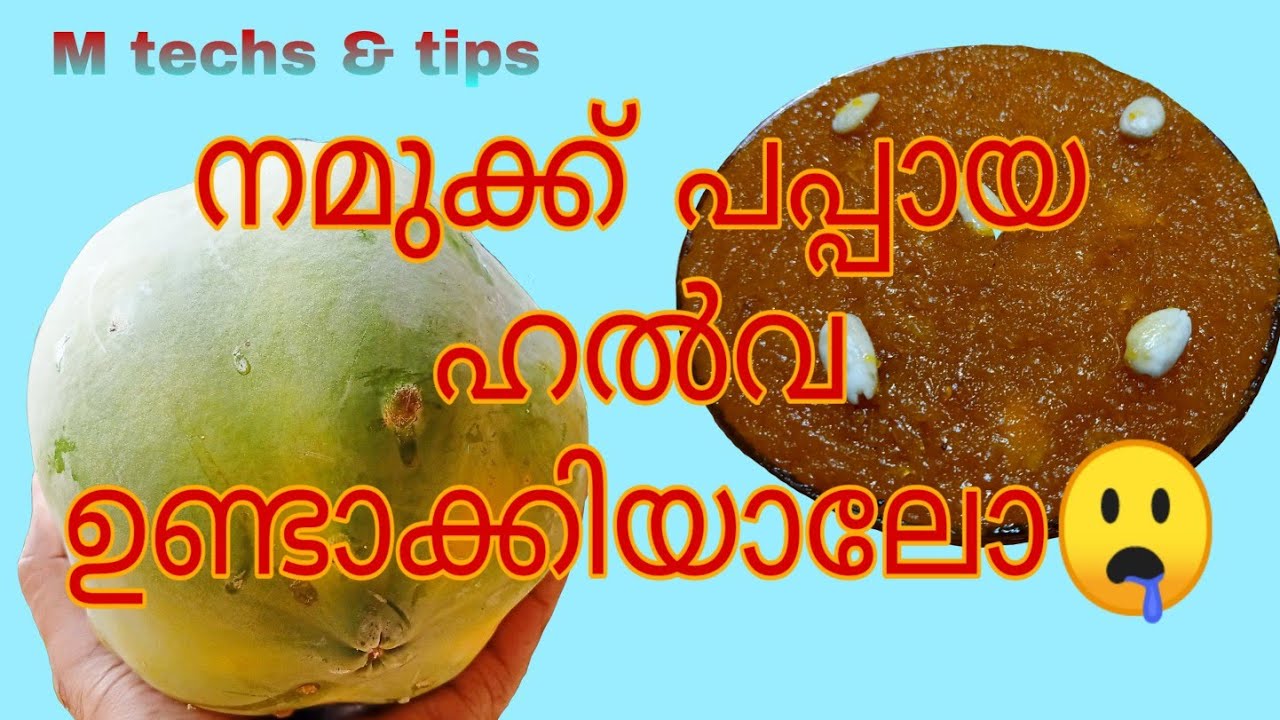 Papaya Halwa Recipe In Malayalam M Techs & Tips YouTube