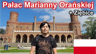 Japończyk zwiedza wielki pałac na Dolnym Śląsku - Kamieniec Ząbkowicki / Ziębice [vlog]