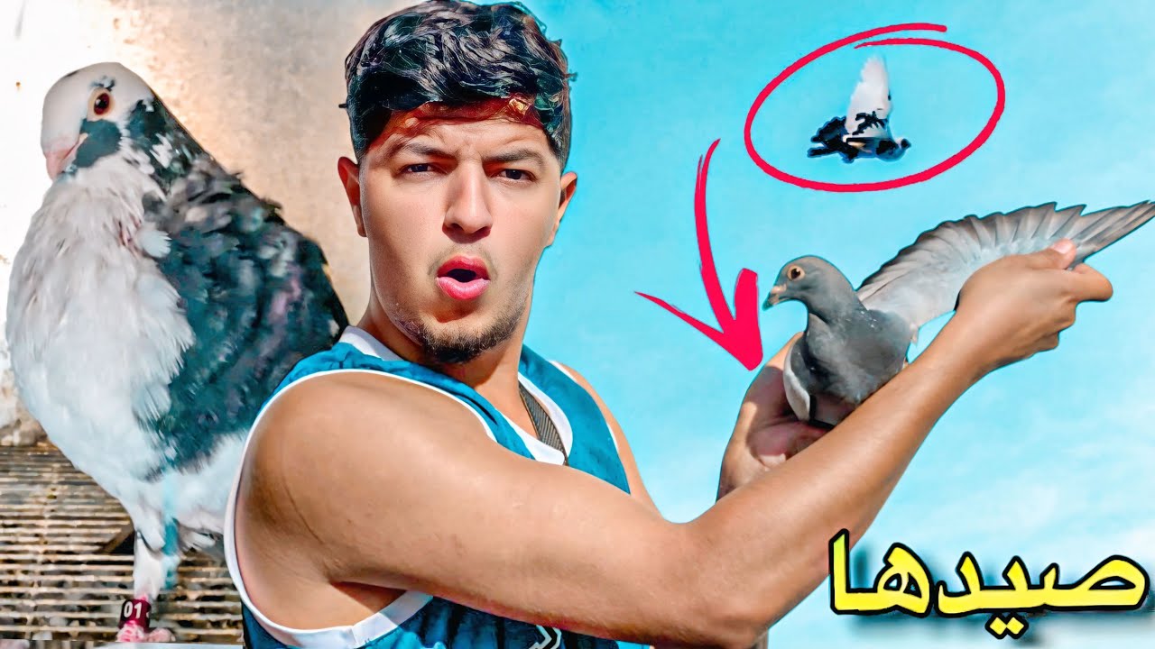 طلقت الحمام يطيرو 🕊️ صدمني ميسي جاب أنتى الحمام زاجل 🤯 توليعة مسائية 😍