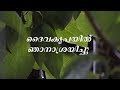 Daiva kripayil njan asrayichu | Malayalam Christian Devotional Songs