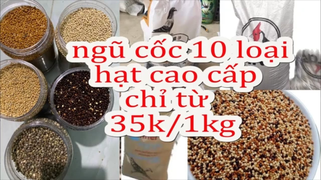 Ngũ Cốc Cao Cấp Cho Cu Gáy 10 Loại Hạt Chỉ Từ 35K