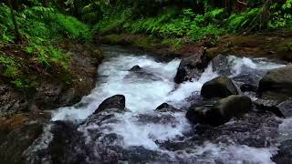 Relaxing Background Noise for Sleep, Natural Sound Therapy from Water Flowing in the Mountain