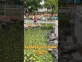 Orang Macau 🇲🇴: Flower City Park (Taipa)