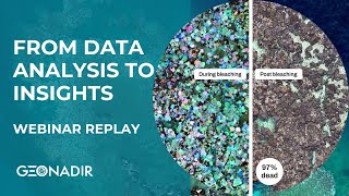 From data analysis to insights - Webinar replay
