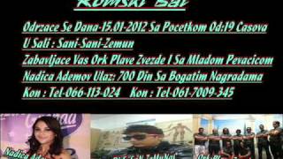 Romski Bal Zemun 2012 Nadica Ademovic Ork Plave Zvezde Dj Ersan Zemunac