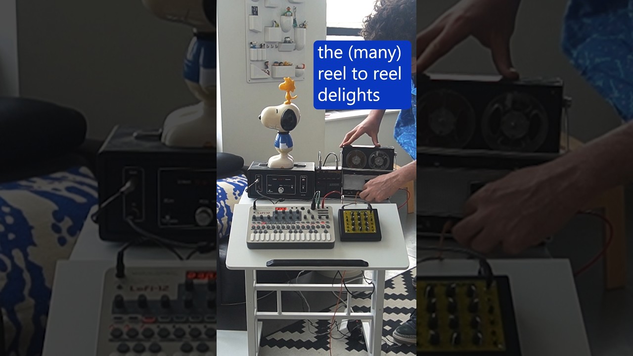 Arion DDS-1 Digital Delay/Sampler | Effects Database