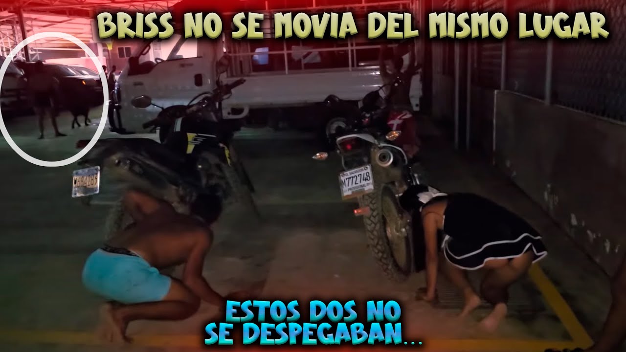 Briss fue la peor para buscar en este juego. Keysi no quiere dejar crecer a Chimirrin