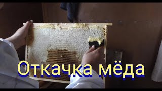 Откачка мёда в полевых условиях.