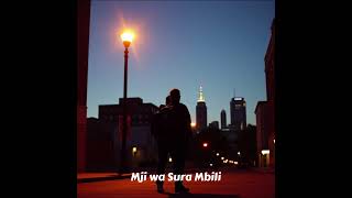 Mji wa Sura Mbili screenshot 4