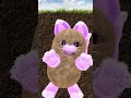 Funny Youtubeshorts Comedy Viral اكسبلور كوميديات Cat النظافه Tiktok Funny Youtubeshorts Comedy Viral اكسبلور كوميديات Cat النظافه Tiktok