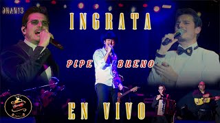 Ingrata (En Vivo) - Pipe Bueno