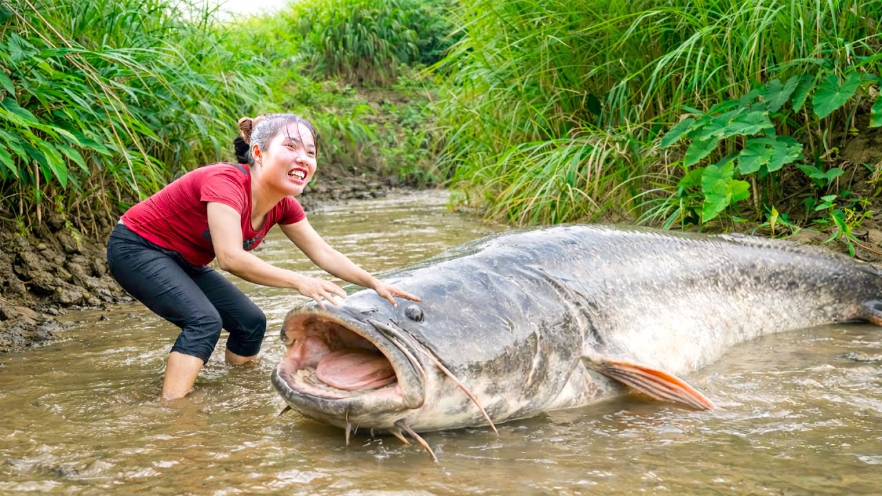 Catching Giant Carp and Catfish in the Steam with Single Mom and Kids - Bring them to Market to Sell