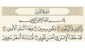 سورة التين الشيخ علي جابر