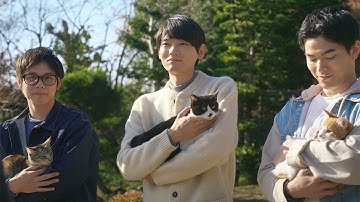 「劇場版 ねこ物件」古川雄輝のもとに細田佳央太らが再集結　可愛い猫たちも登場　新予告映像
