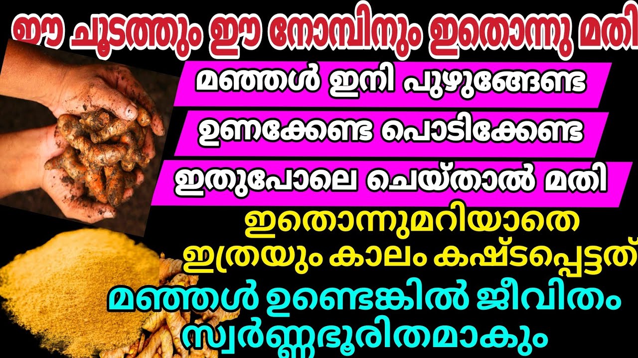 ഇനി മഞ്ഞൾ പുഴുങ്ങേണ്ട ഉണക്കേണ്ട പൊടിക്കേണ്ട ഇങ്ങനെ ചെയ്യൂ  | How to store Turmerics for a long time