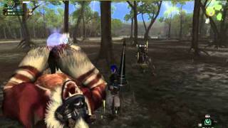 MHF HR31 ゴゴモア　gogomoa