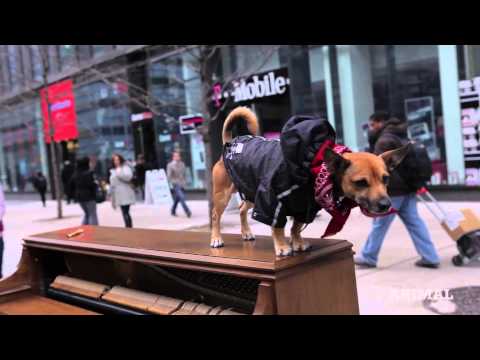 Video: Piano Across America: Q & A Dengan Pemain Piano Perjalanan Dotan Negrin - Matador Network