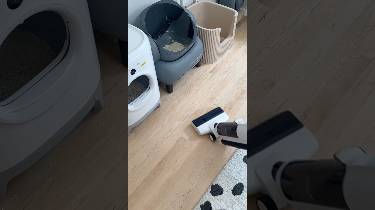 Maintenance day! 🧹🧼