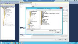 Restore database SAP B1