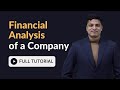 How to do Financial Analysis of a Company in Excel - Full Tutorial for Beginners from Scratch