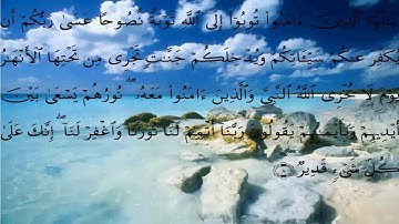 سورة التحريم بقراءة مشاري العفاسي