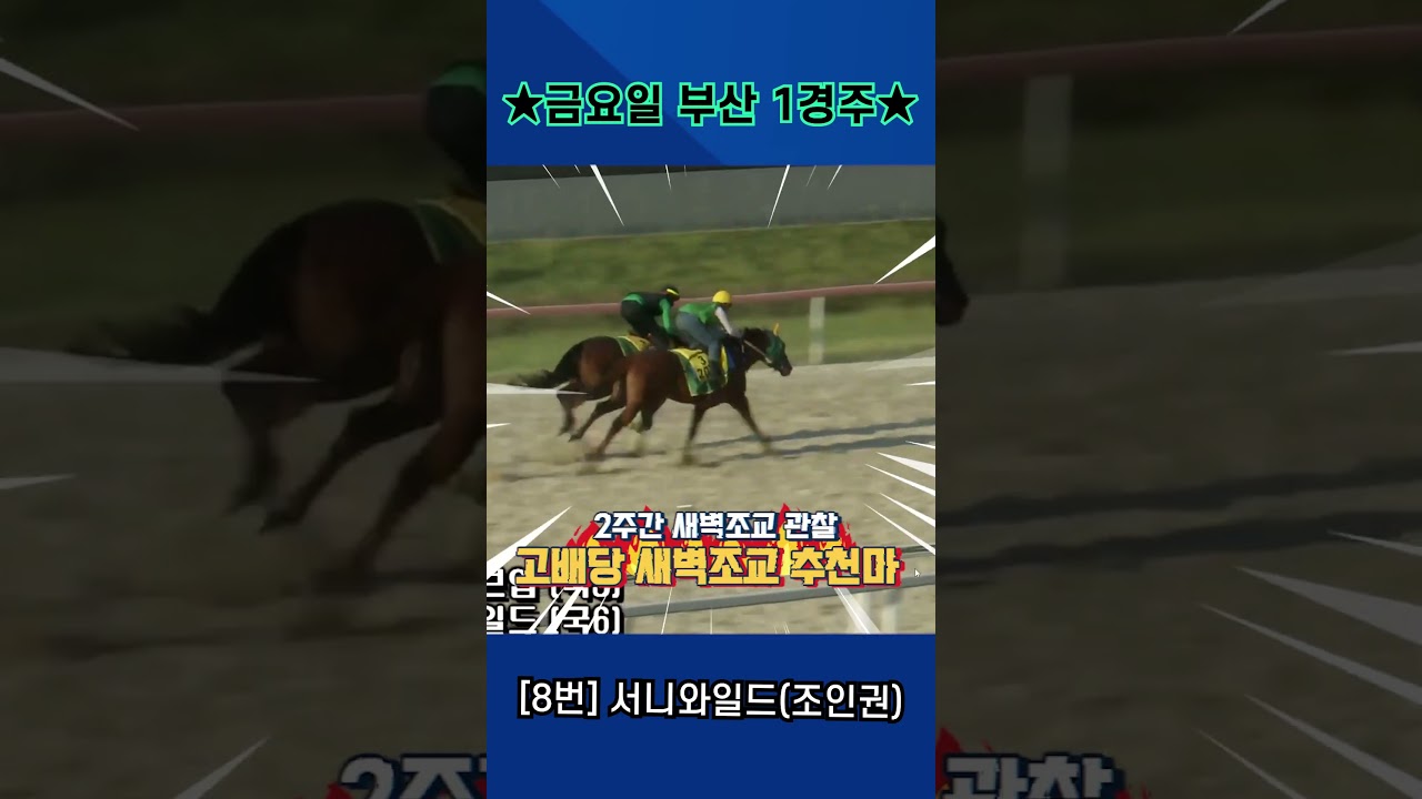 8월7일 금요일 부산 1경주!! 2주간 훈련보인 강백호의 새벽조교 쏘스마!!