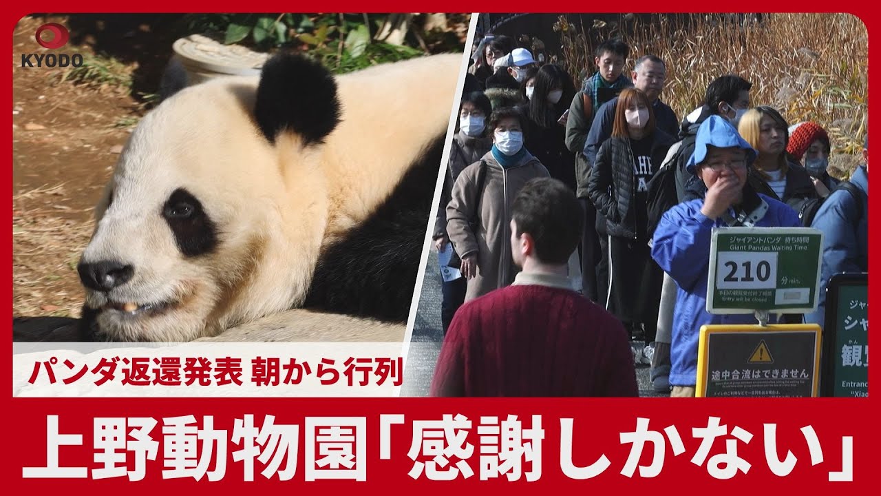 Ueno Zoo: 