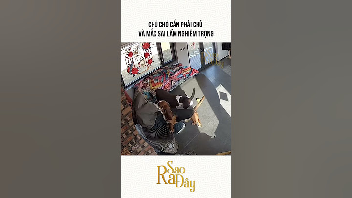 CHÚ CHÓ C.Ắ.N PHẢI CHỦ VÀ MẮC SAI LẦM NGHIÊM TRỌNG