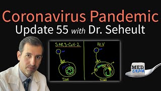 Coronavirus Pandemic Update 55: How COVID-19 Infection Attacks The Immune System \& Differs From HIV