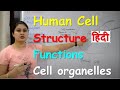 Human cell in hindi  the fundamental unit of life  organelles  structure functions in hindi