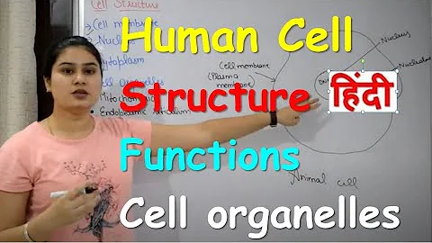Human Cell in Hindi | The Fundamental Unit Of Life | Organelles | Structure |Functions in Hindi