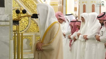تلاوة فضيلة الشيخ أ.د. ‎#محمد_برهجي من صلاة الفجر الخميس ٢٦ ربيع الأول ١٤٤٧ هـ