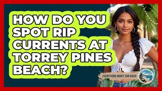 How Do You Spot Rip Currents At Torrey Pines Beach? - Everything About San Diego