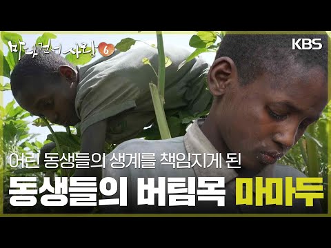 어린 동생들의 생계를 책임지게 된 10살 마마두 [바다 건너 사랑 6] | KBS 260906 방송