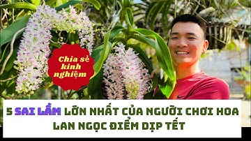 Sai lầm lớn nhất của người chơi hoa lan Ngọc điểm dịp tết| Review