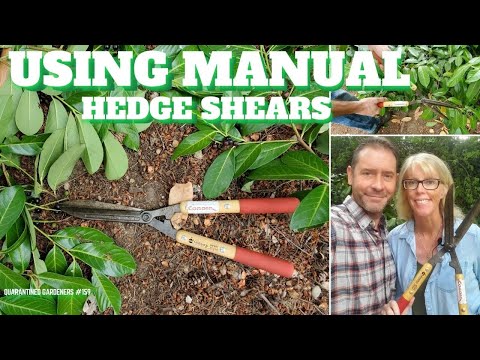Video: Kedy použiť ručné nožnice na starostlivosť o záhradu – používanie rôznych druhov ručných nožníc