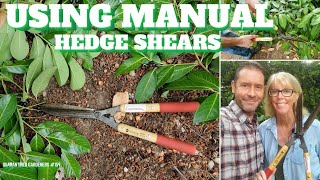 ⚒ Using Manual Hedge Shears - QG Day 159 ⚒