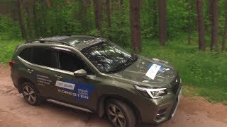 2019 SUBARU FORESTER ТЕСТ-ДРАЙВ.