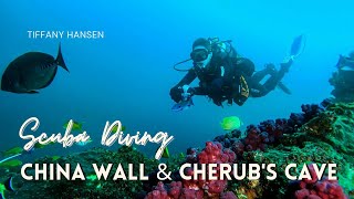 Scuba China Wall & Cherub's Cave 15 May, 2021
