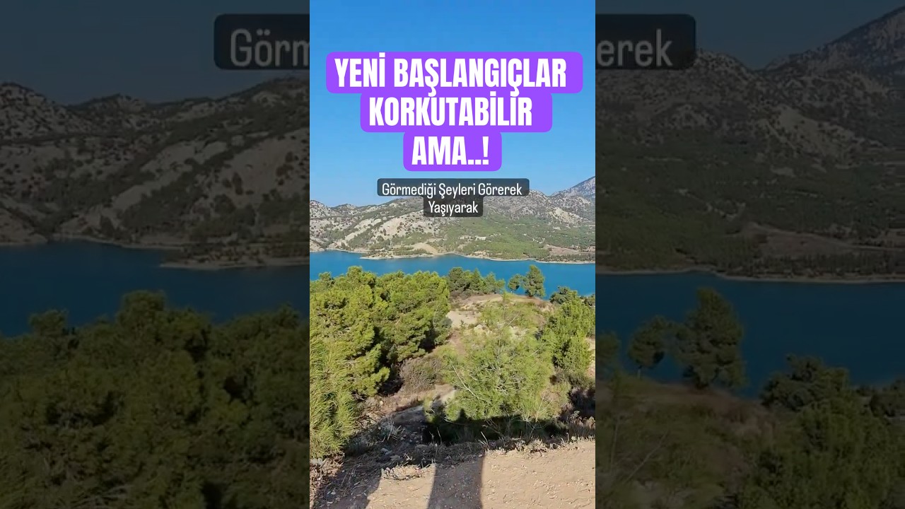 Yeni Başlangıçlar Korkutucu Olabilir Ama... 🌴 #shorts