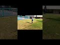 Jumping Activity | Jumping on Agility ladder | Hoping Activity #motorskills #preschool
