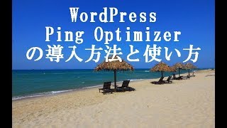 WordPress Ping Optimizerの導入方法と使い方